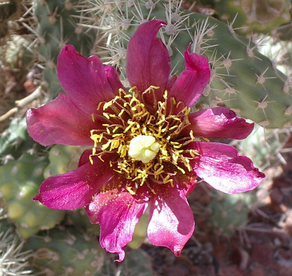 slideshow